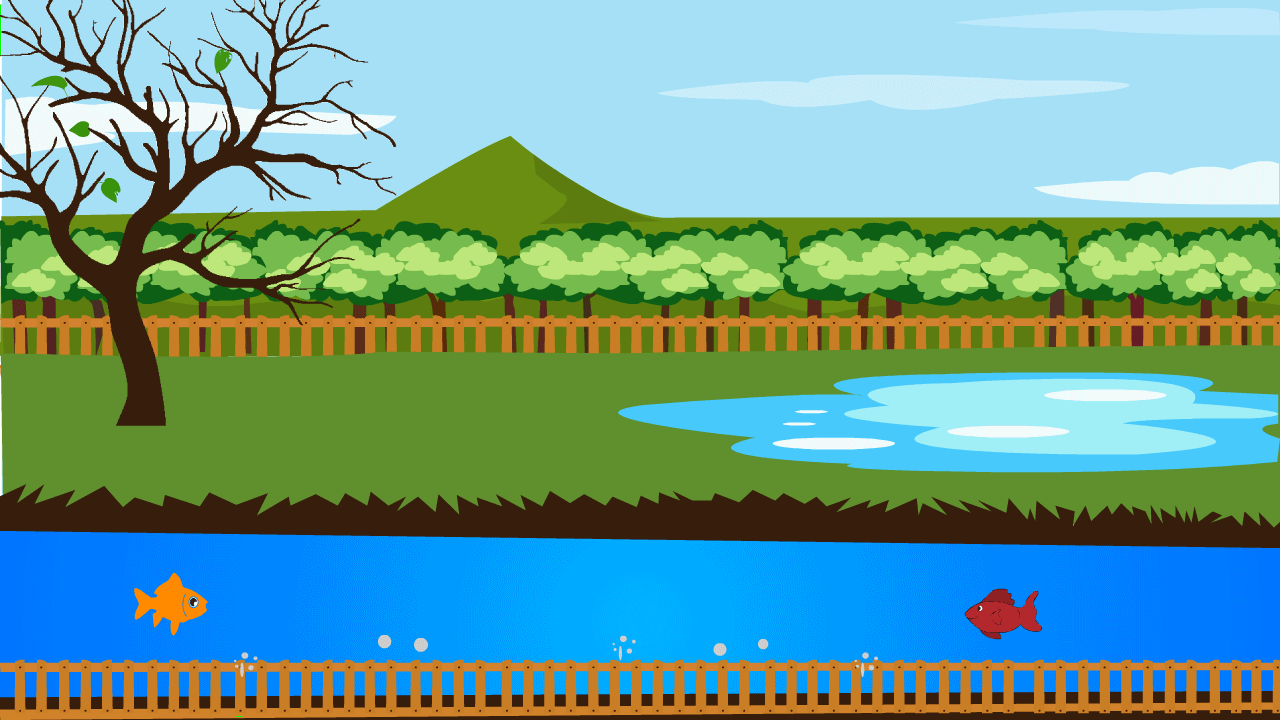 fish animation